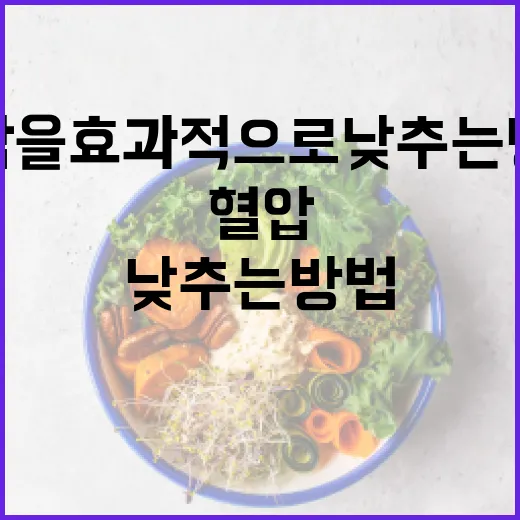 혈압을 효과적으로 낮추는 방법 - 요약