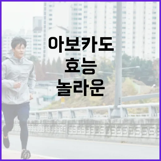 아보카도의 놀라운 효능을 최대한 활용하는 방법 - 요약