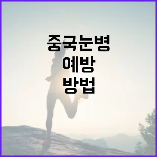 중국 눈병을 예방하고 관리하는 방법 - 요약