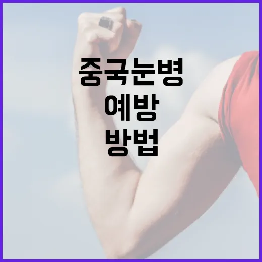 중국 눈병을 예방하고 관리하는 방법 - 요약