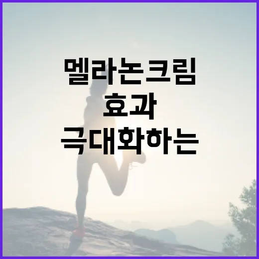 멜라논크림 사용 방법과 효과를 극대화하는 법 - 요약