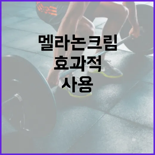 멜라논크림을 효과적으로 사용하는 방법 - 요약