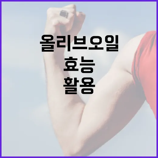 올리브오일 효능을 최대한 활용하는 방법 - 요약