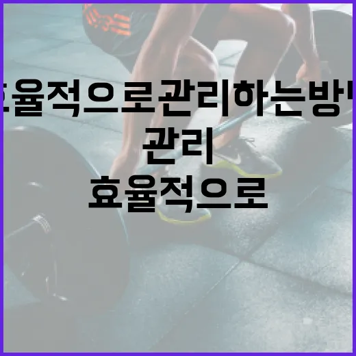 마운저로 가격을 효율적으로 관리하는 방법 - 요약