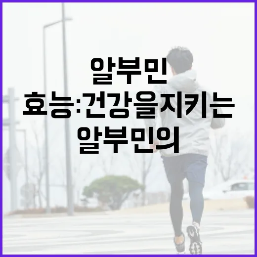 알부민의 효능: 건강을 지키는 방법 - 요약