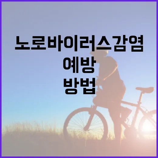 노로바이러스 감염을 예방하는 방법 - 요약