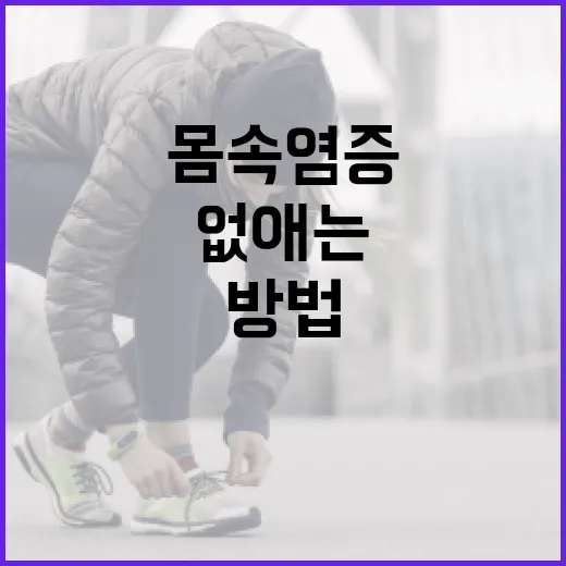 몸속 염증을 효과적으로 없애는 방법 - 요약