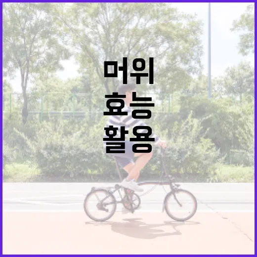 머위의 효능을 최대한 활용하는 방법 - 요약