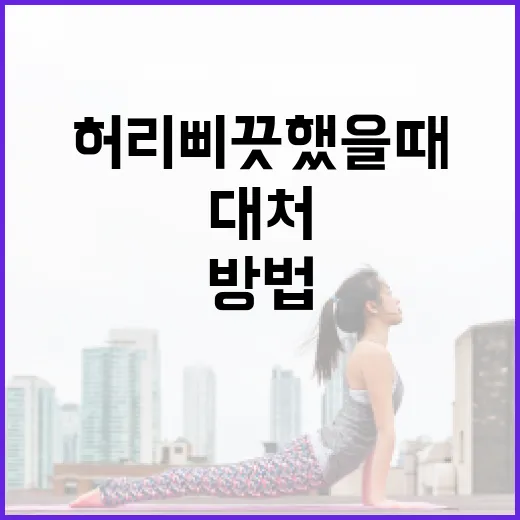 허리 삐끗했을 때 효과적으로 대처하는 방법 - 요약
