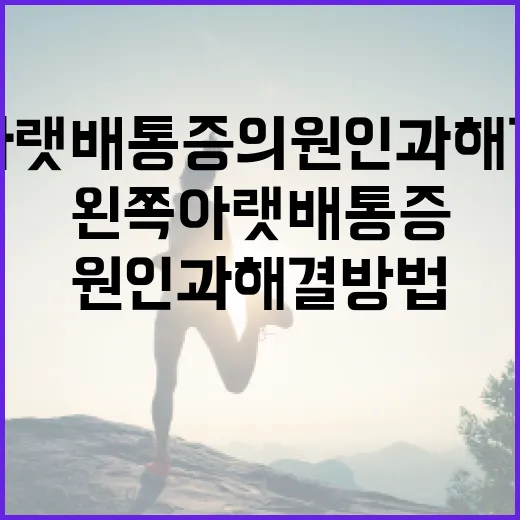 왼쪽 아랫배 통증의 원인과 해결 방법 - 요약