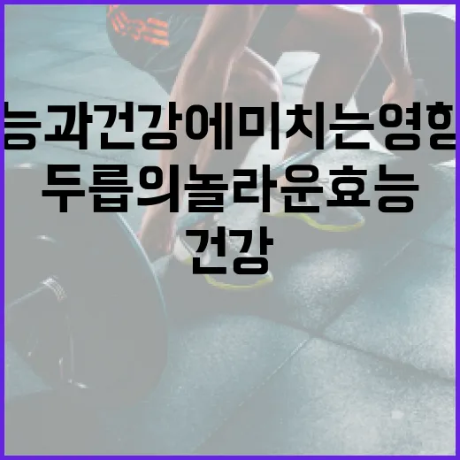 두릅의 놀라운 효능과 건강에 미치는 영향 알아보기 - 요약