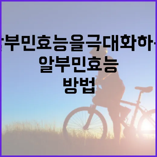 알부민 효능을 극대화하는 방법 - 요약