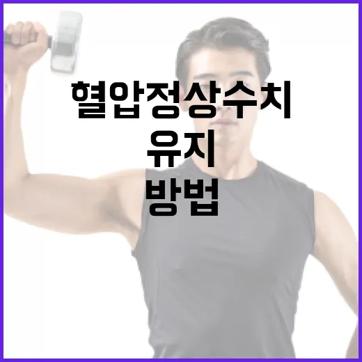 혈압 정상 수치를 유지하는 방법 - 요약