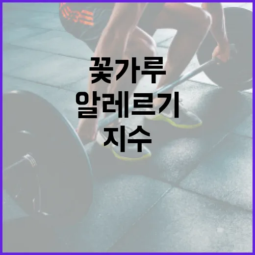 꽃가루지수를 이해하고 알레르기 대처하는 방법 - 요약