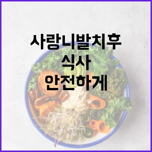 사랑니 발치 후 안전하게 식사하는 방법 - 요약
