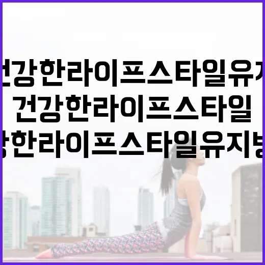 김신영을 통해 알아보는 건강한 라이프스타일 유지 방법 - 요약