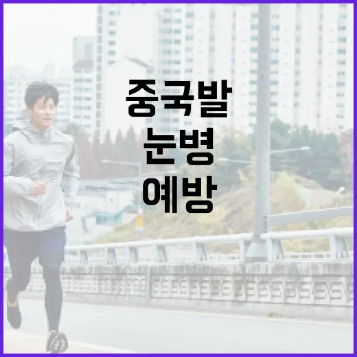 중국발 눈병을 예방하는 방법 - 요약