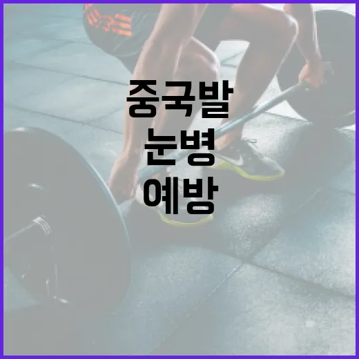 중국발 눈병을 예방하고 관리하는 방법 - 요약