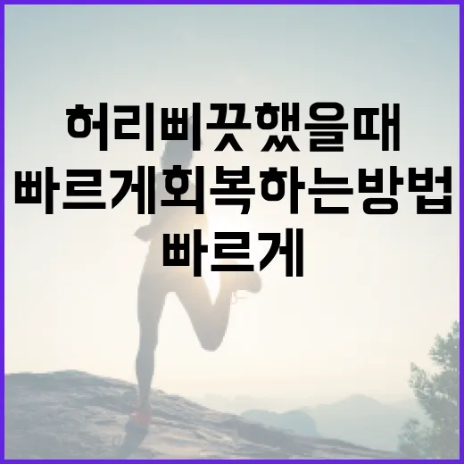 허리 삐끗했을 때 빠르게 회복하는 방법 - 요약