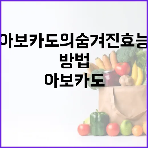 아보카도의 숨겨진 효능을 최대한 활용하는 방법 - 요약