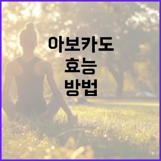 아보카도의 효능을 극대화하는 방법 - 요약