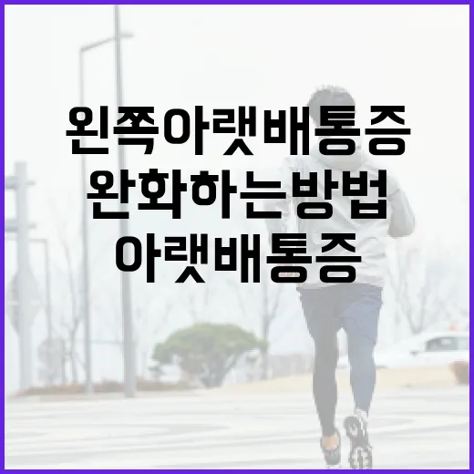 왼쪽 아랫배 통증 완화하는 방법 - 요약