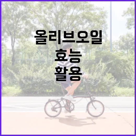 올리브오일의 효능을 최대한 활용하는 방법 - 요약