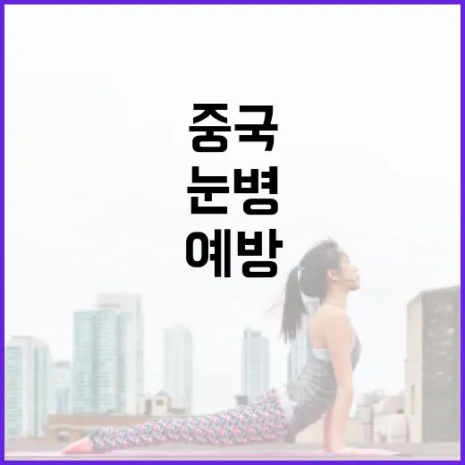 중국에서 눈병을 예방하는 방법 - 요약