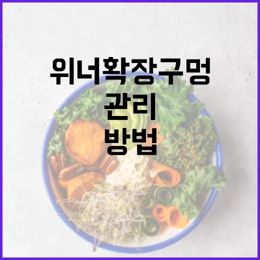 위너확장구멍을 이해하고 건강하게 관리하는 방법 - 요약