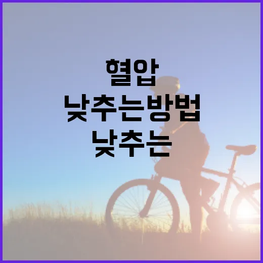 혈압을 건강하게 낮추는 방법 - 요약