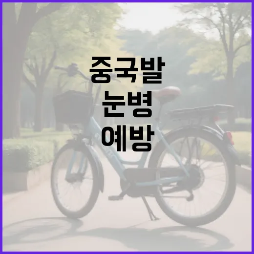 중국발 눈병을 예방하는 방법 - 요약