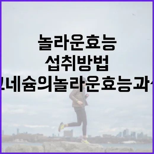 마그네슘의 놀라운 효능과 섭취 방법 - 요약