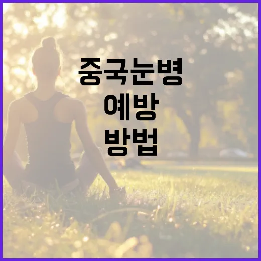중국 눈병을 예방하고 관리하는 방법 - 요약