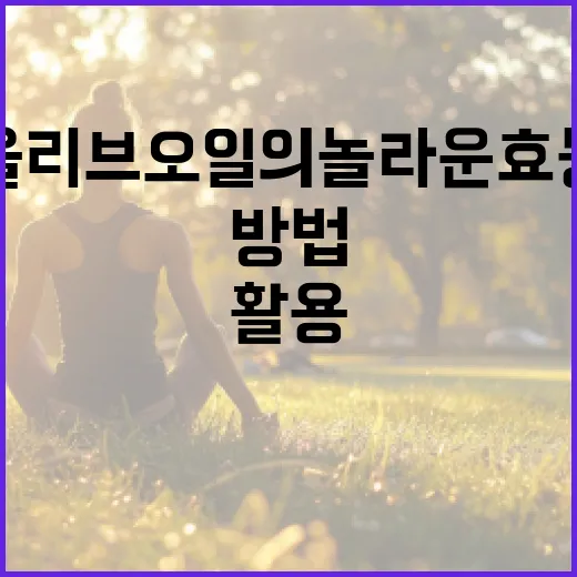 올리브오일의 놀라운 효능을 최대한 활용하는 방법 - 요약