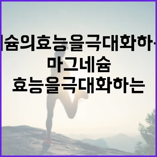 마그네슘의 효능을 극대화하는 방법 - 요약