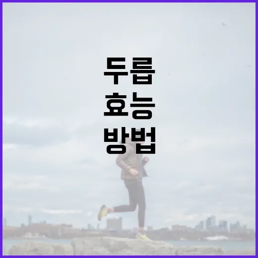 두릅의 효능을 극대화하는 방법 - 요약