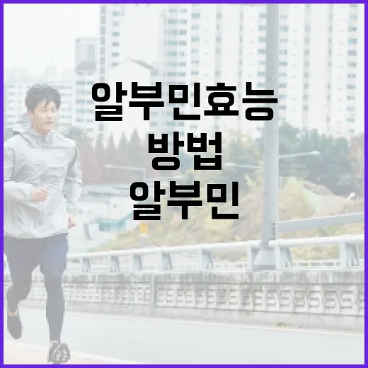 알부민 효능을 최대한 활용하는 방법 - 요약