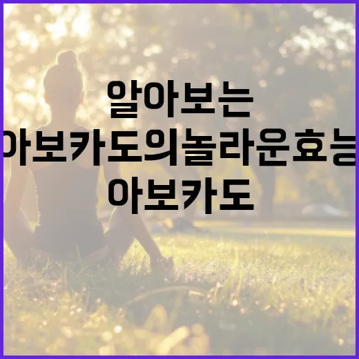 아보카도의 놀라운 효능을 알아보는 방법 - 요약