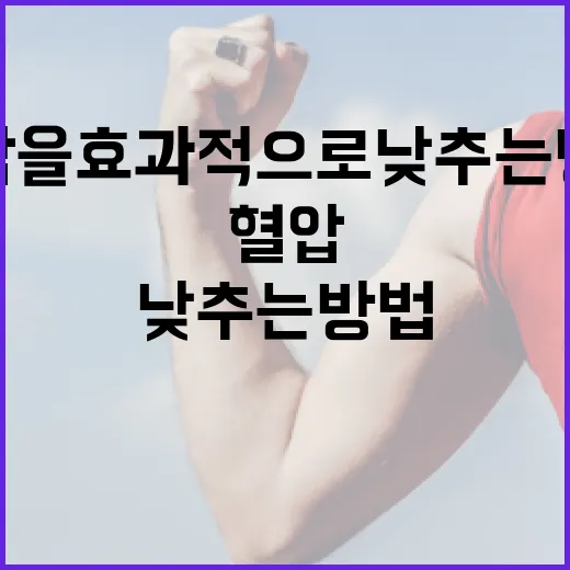 혈압을 효과적으로 낮추는 방법 - 요약