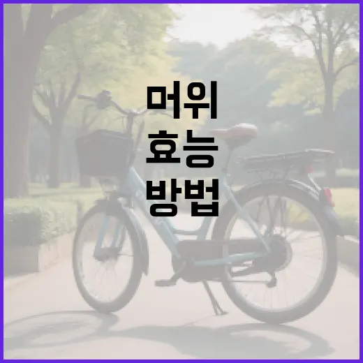 머위의 효능을 극대화하는 방법 - 요약