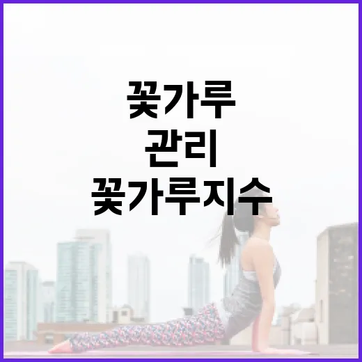 꽃가루지수를 이해하고 관리하는 방법 - 요약