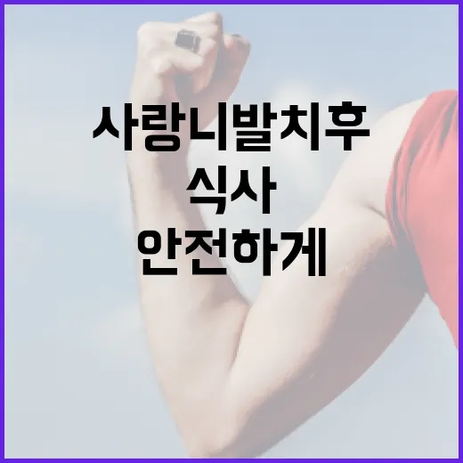 사랑니 발치 후 안전하게 식사하는 방법 - 요약