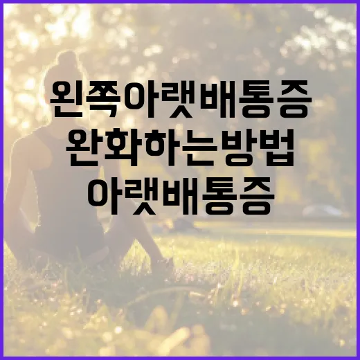 왼쪽 아랫배 통증을 완화하는 방법 - 요약