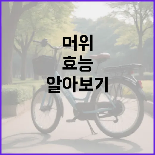 머위의 놀라운 효능 알아보기 - 요약