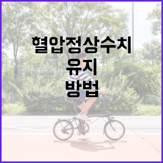 혈압 정상 수치를 유지하는 방법 - 요약