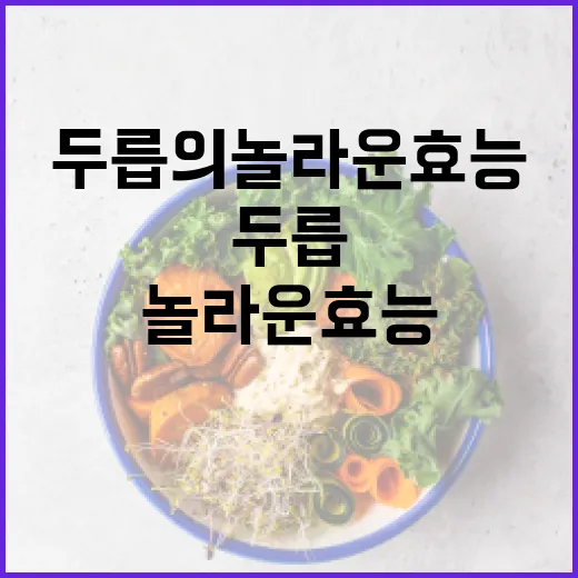 두릅의 놀라운 효능을 알아보는 방법 - 요약