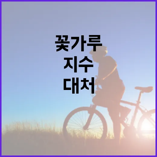 꽃가루지수를 이해하고 대처하는 방법 - 요약