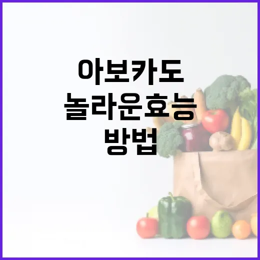 아보카도의 놀라운 효능과 활용 방법 - 요약