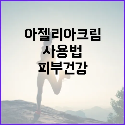 아젤리아크림 사용법과 효과: 피부 건강을 위한 완벽 가이드 - 요약