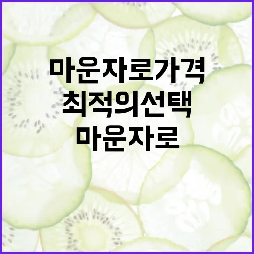 마운자로 가격을 이해하고 최적의 선택하는 방법 - 요약